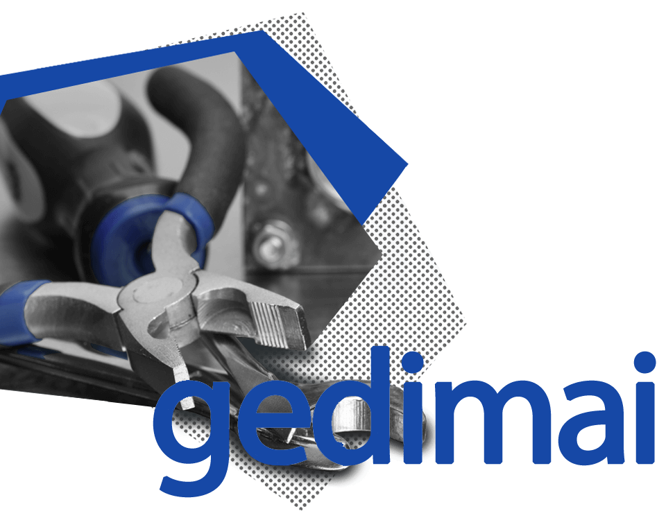 gedimu-salinimas-irm-lt